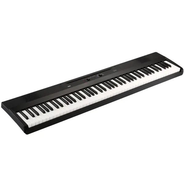 Piano Teclado Digital Korg Liano 88 Teclas