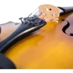 Violín Greko Vb301 1/2