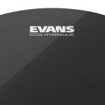Parche Evans De 22" Bd22Hbg